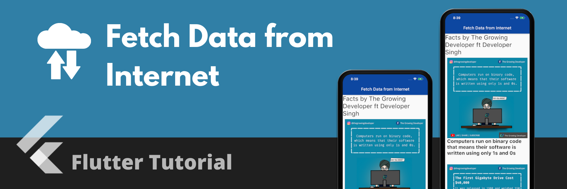 How to fetch data from Internet | Flutter API Integration